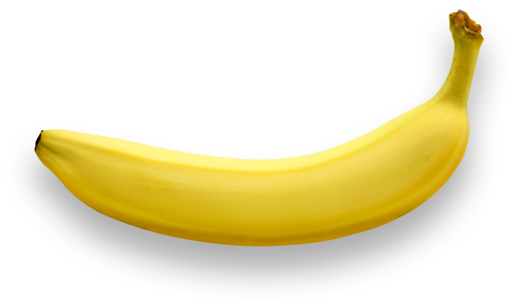 freshflesh