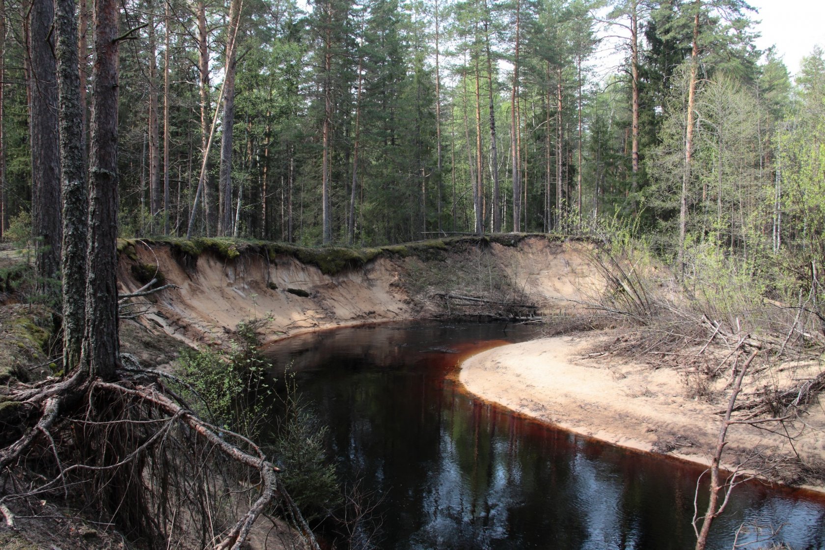 Заповедники нижегородской области картинки