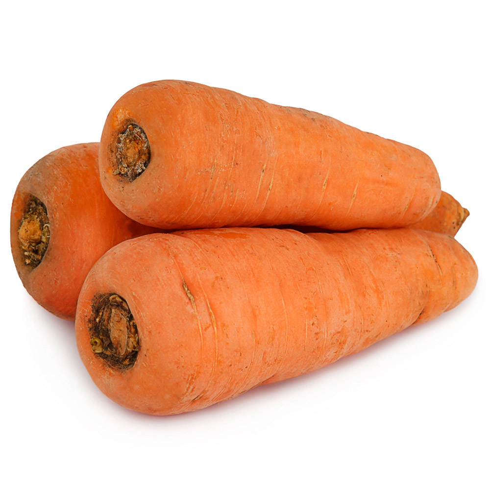 морковь лагуна описание сорта фото