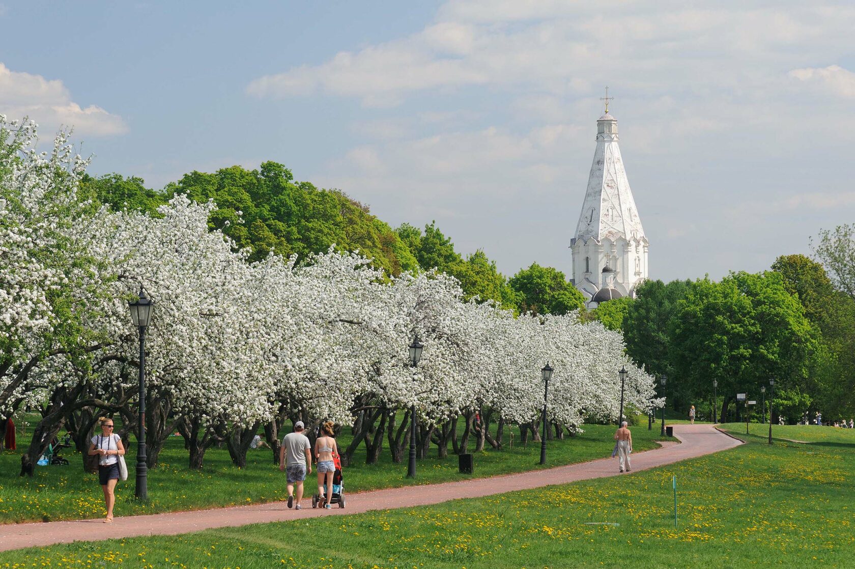 Вознесенский Яблоневый сад в Коломенском