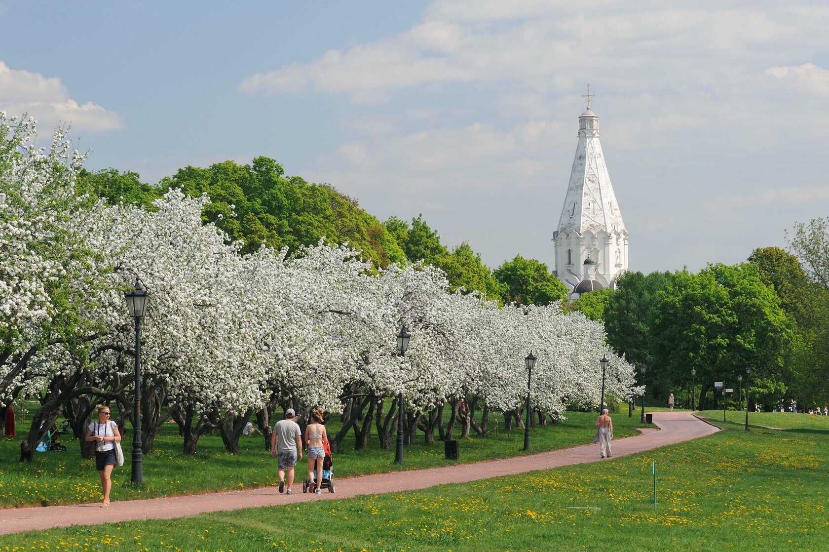 яблоневый сад москва