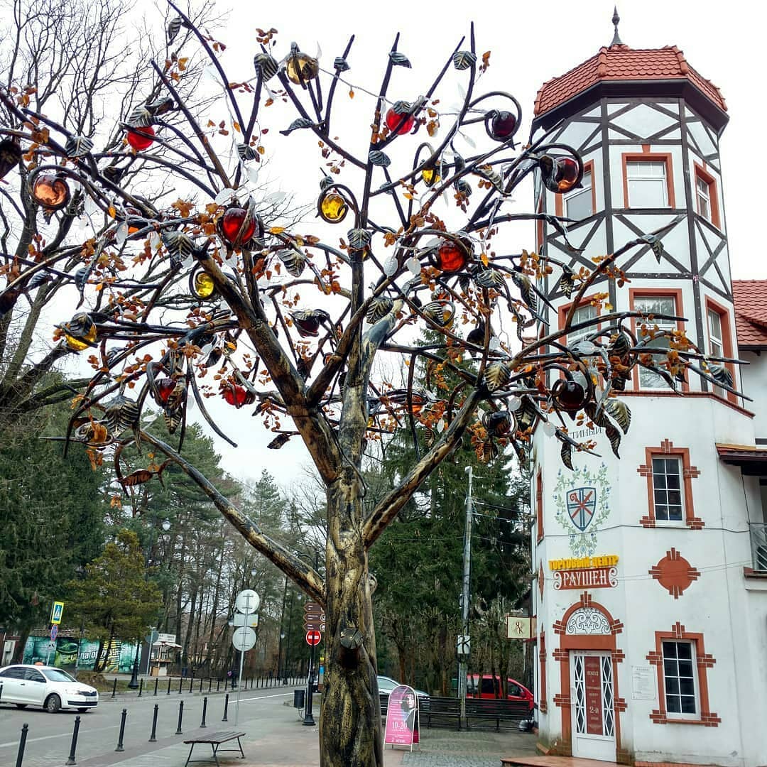 Янтарное дерево Светлогорск