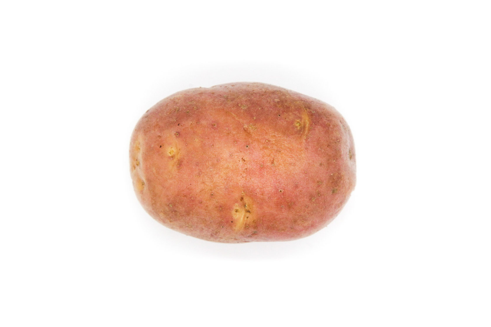 картофель сорт ред скарлет характеристика фото
