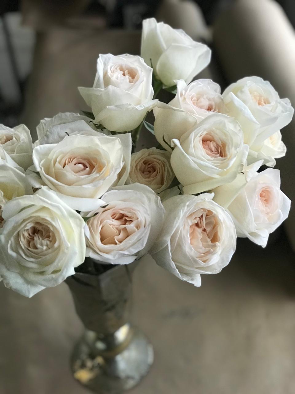 Белая роза название Охара