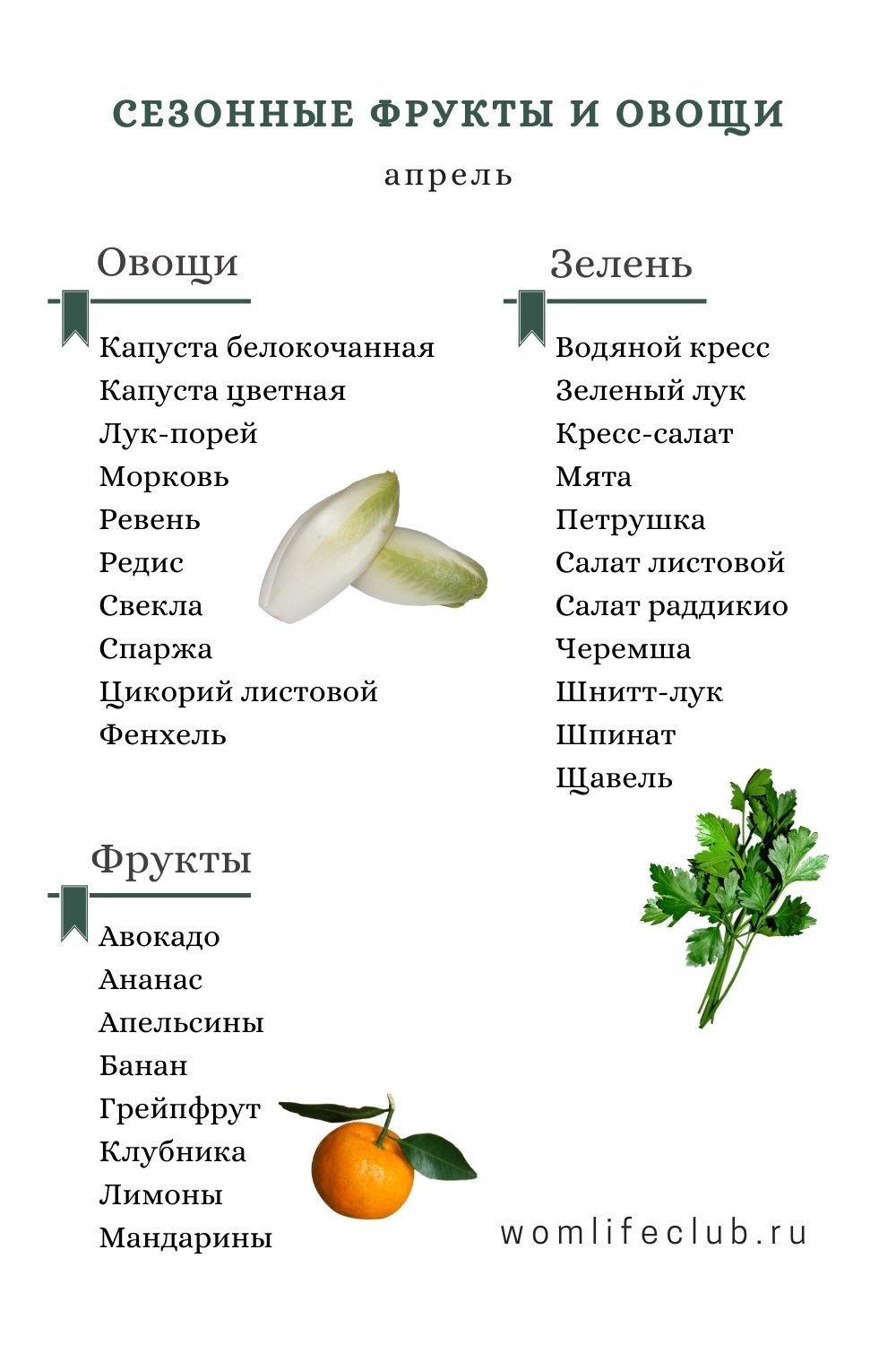 Сезонные фрукты и овощи по месяцам в России таблица