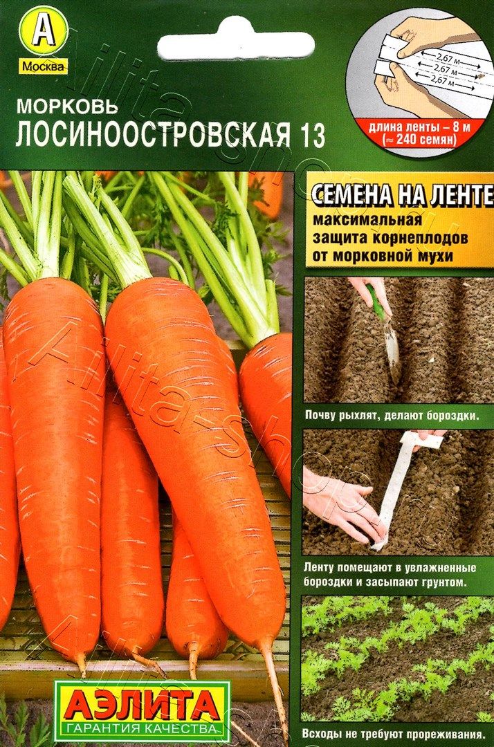 Морковь Осенний Король Описание Сорта Фото Отзывы