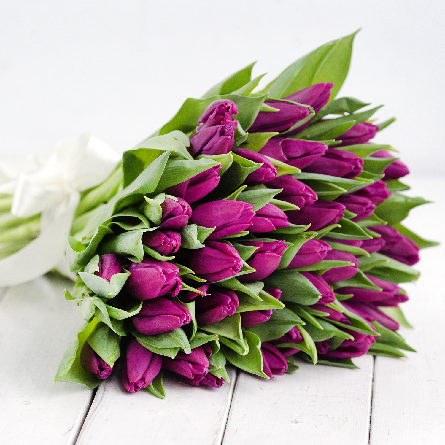 51 Фиолетовый тюльпан