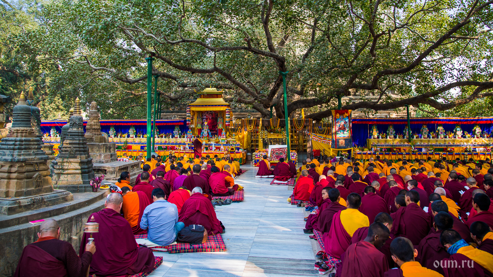 Дерево Бодхи в буддизме