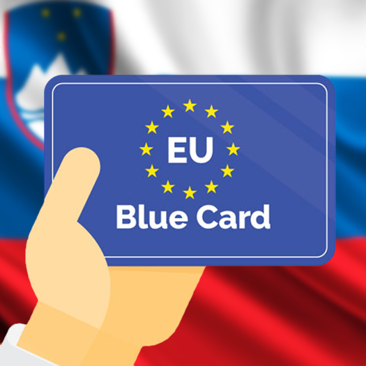 Как получить голубую карту EU Blue Card в Словении