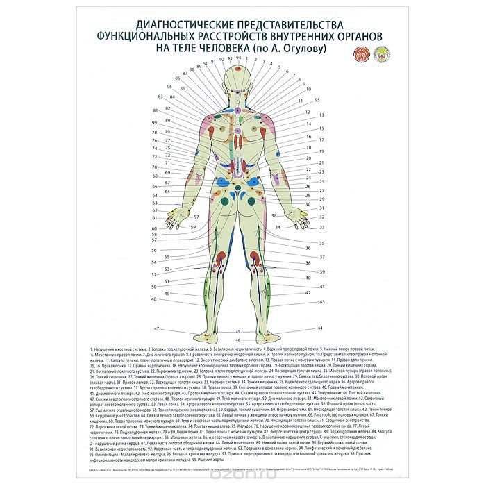 Огулов карта тела