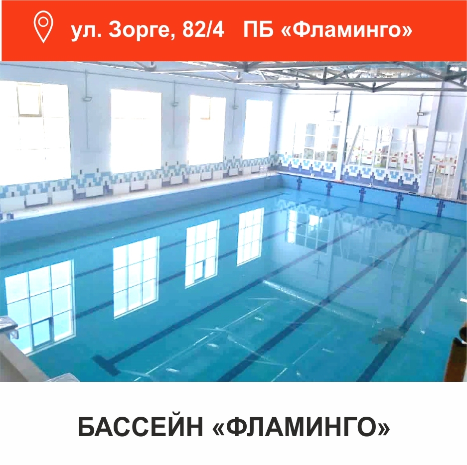 Магазин Дельфин Бассейн