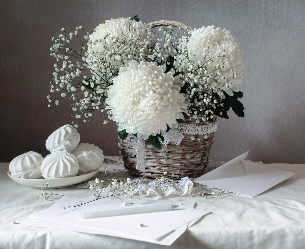 Белые хризантемы в вазе