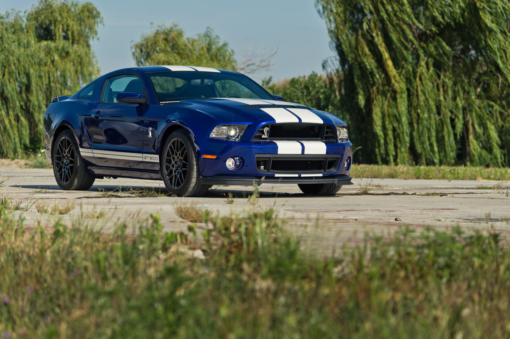 Ford Mustang Shelby бернаут