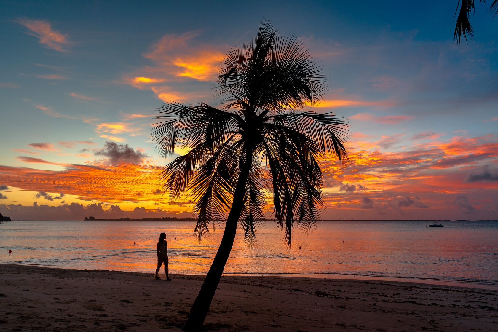 Арамболь пляж пальмы