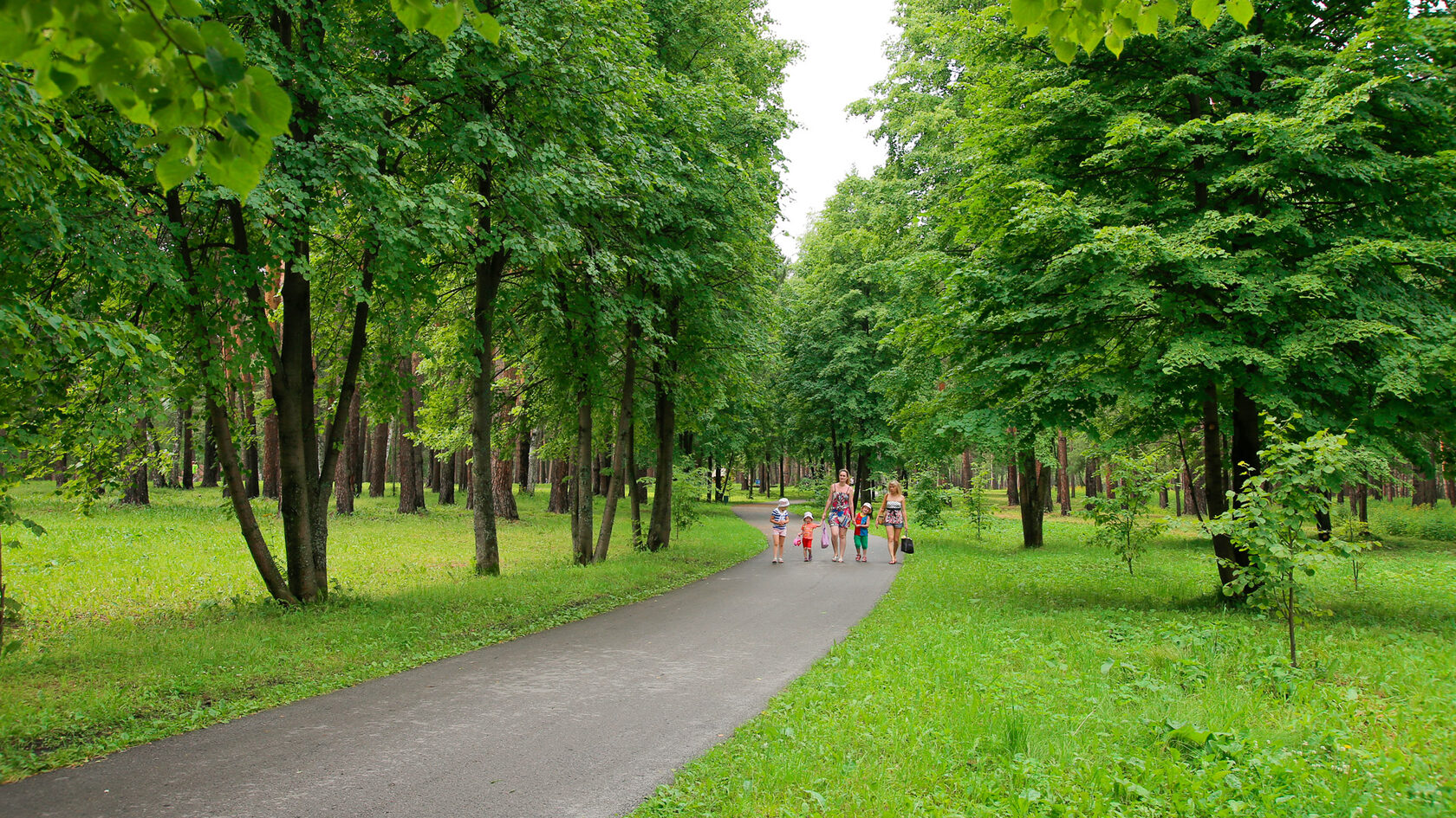 зенковский парк