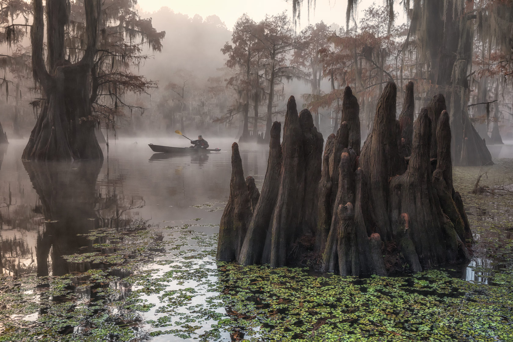 Луизианские болота Манчак
