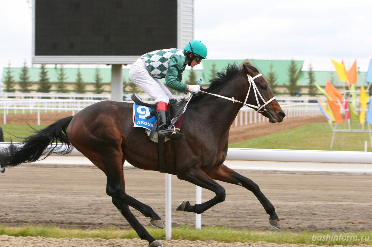 Акбузат Уфа Фото — Фото Картинки