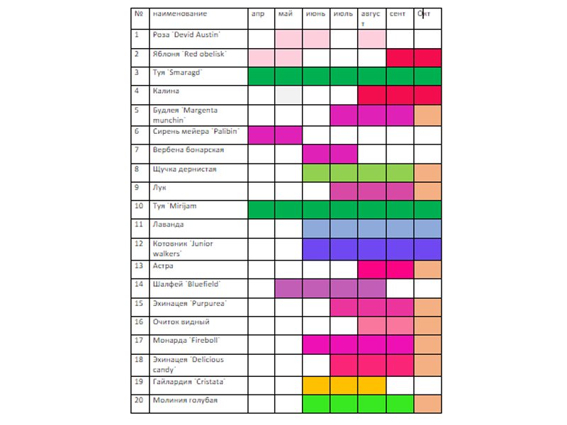 Календарь цветения цветов по месяцам таблица с фото
