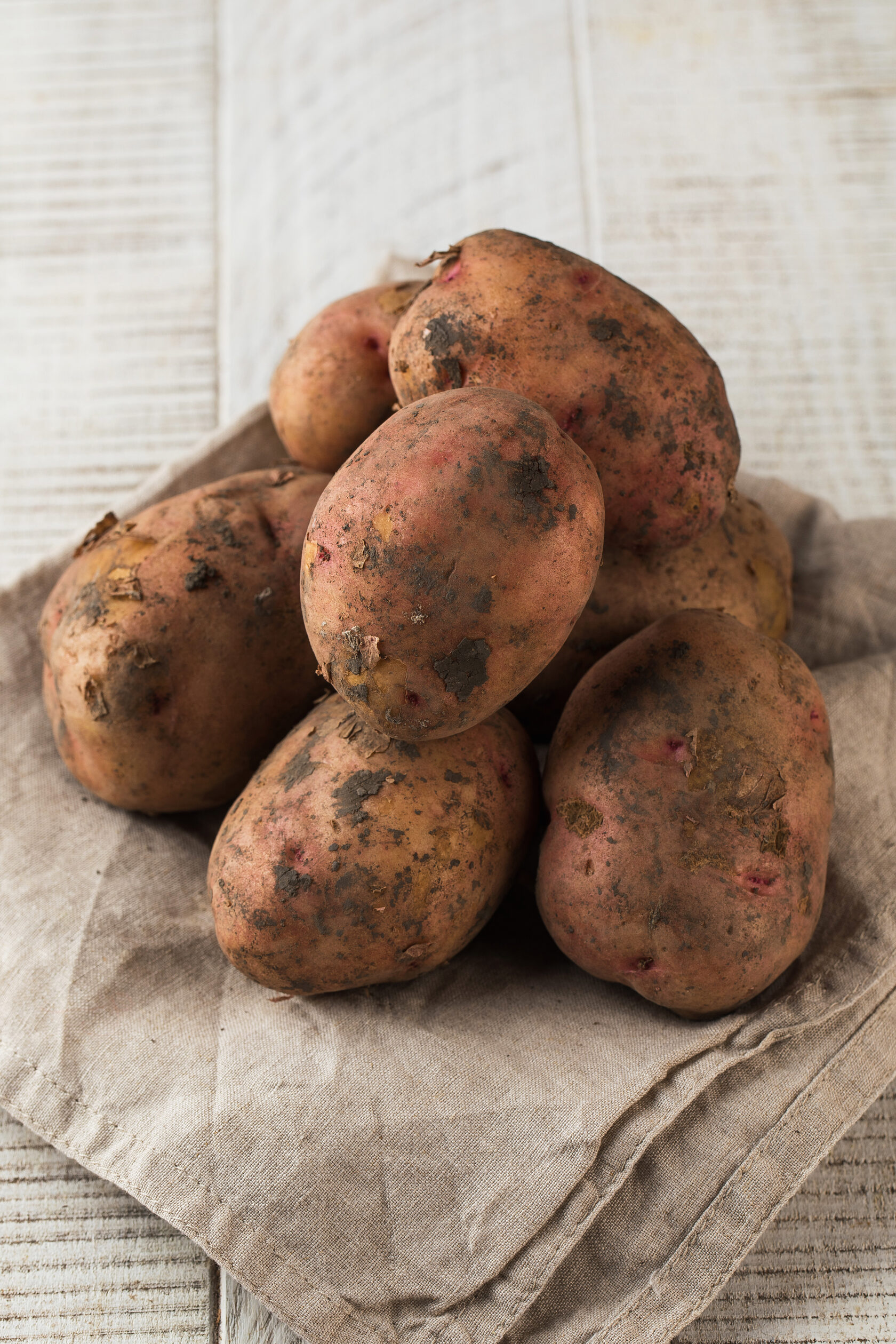 сорт картофеля вега характеристика отзывы фото