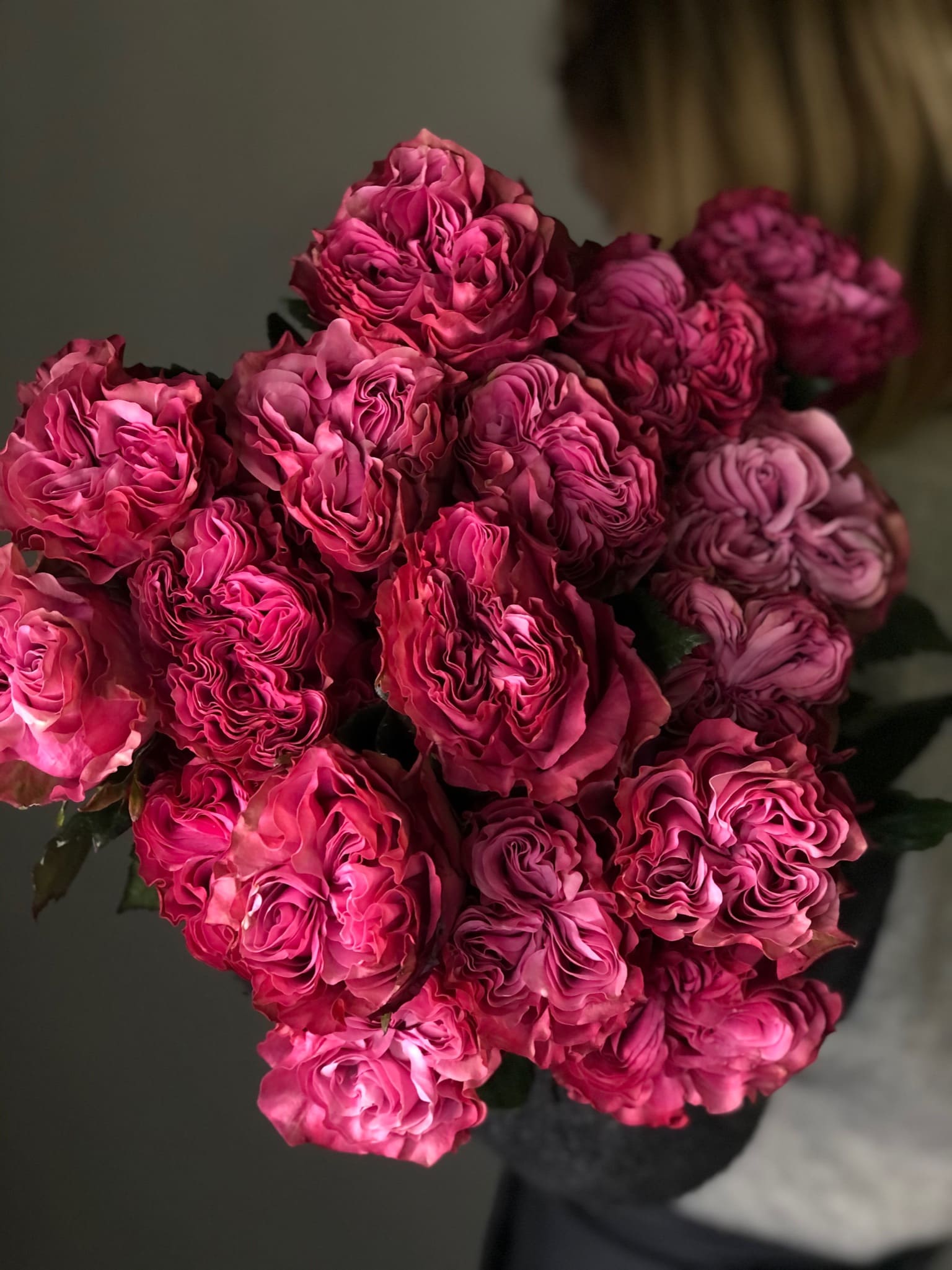Кантри блюз роза Эквадор