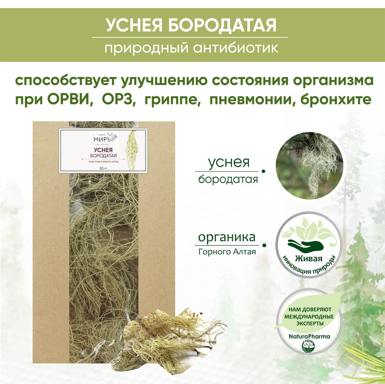 Трава Уснея Бородатая Фото – Telegraph