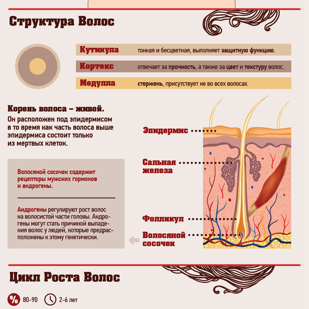 Утолщение волос домашних условиях