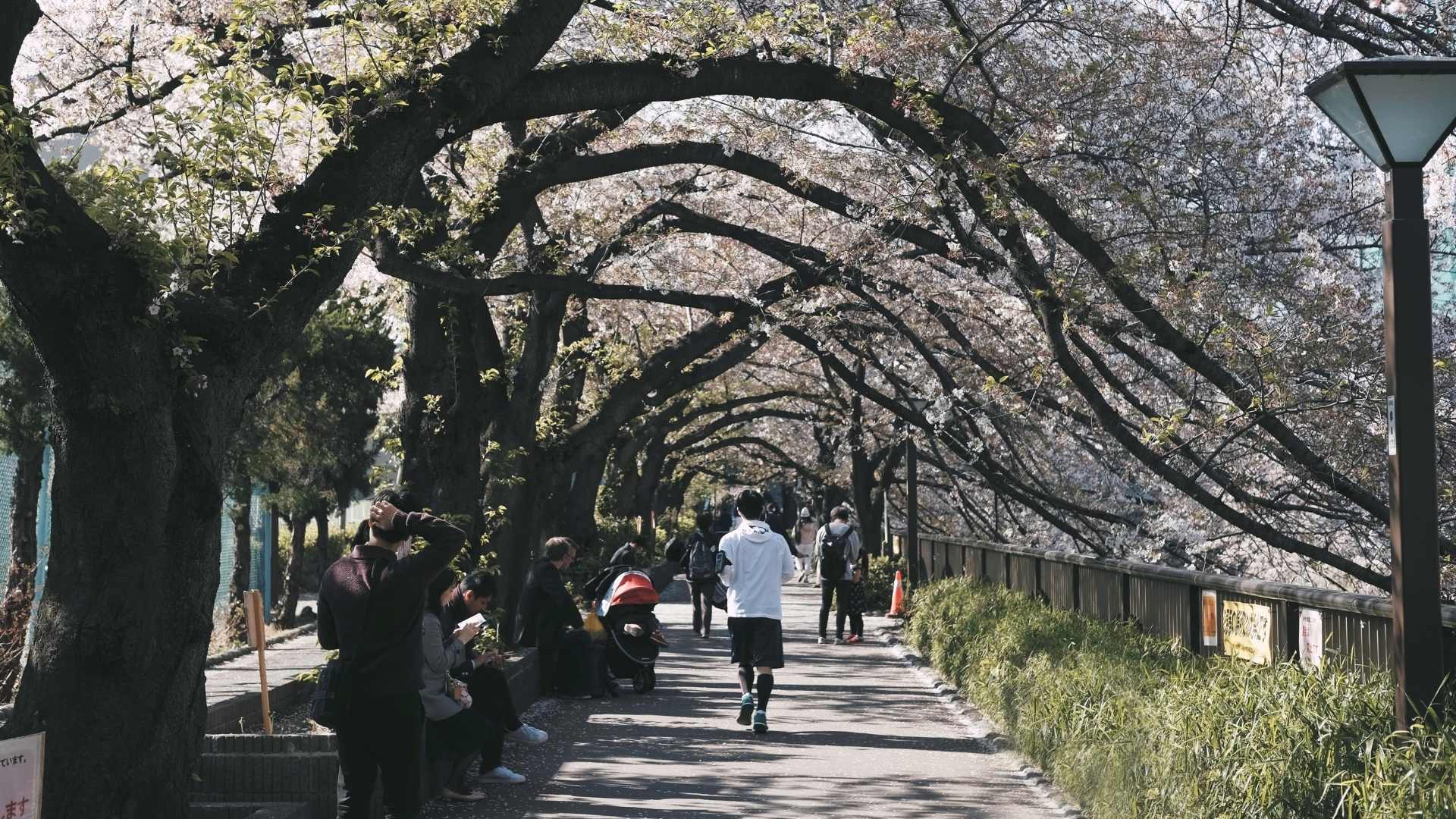 Outdoors japanese