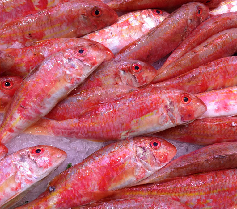 Рыба Барабулька Фото Цена Где Купить