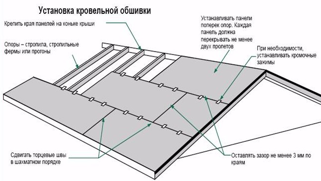 Портулак - посадка и уход в открытом грунте Портал Свадьба Воронеж - свадебный портал г