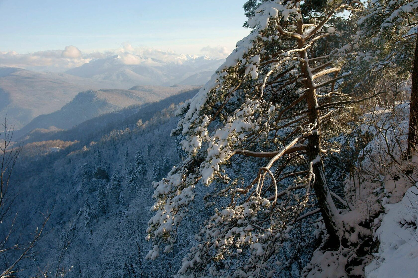 Лагонаки гора азиш Тау