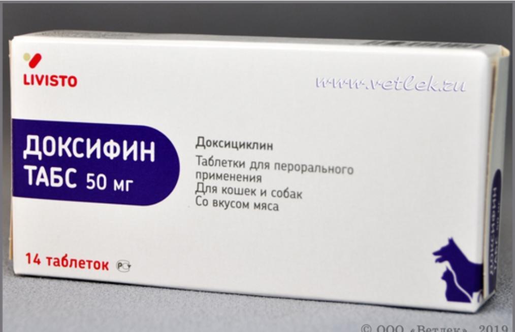 Доксициклин Купить Без Рецептов В Интернет Аптеке