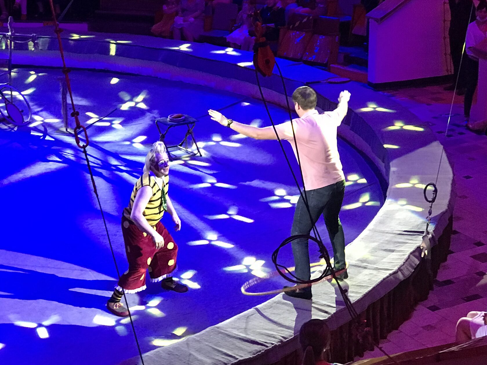 Краснодарский цирк 7 января программа выступления
