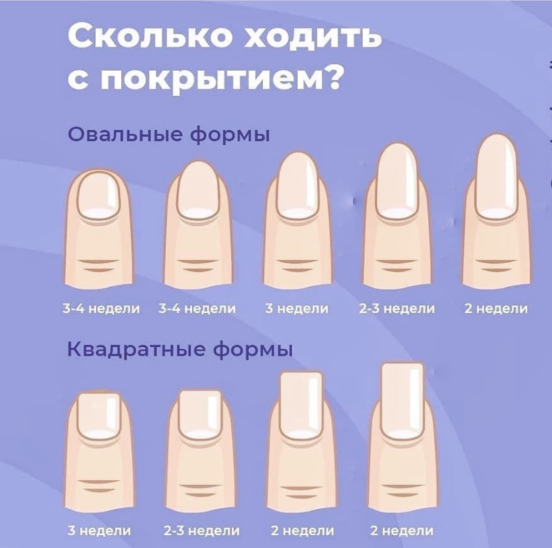 Формы ногтей для маникюра и их названия