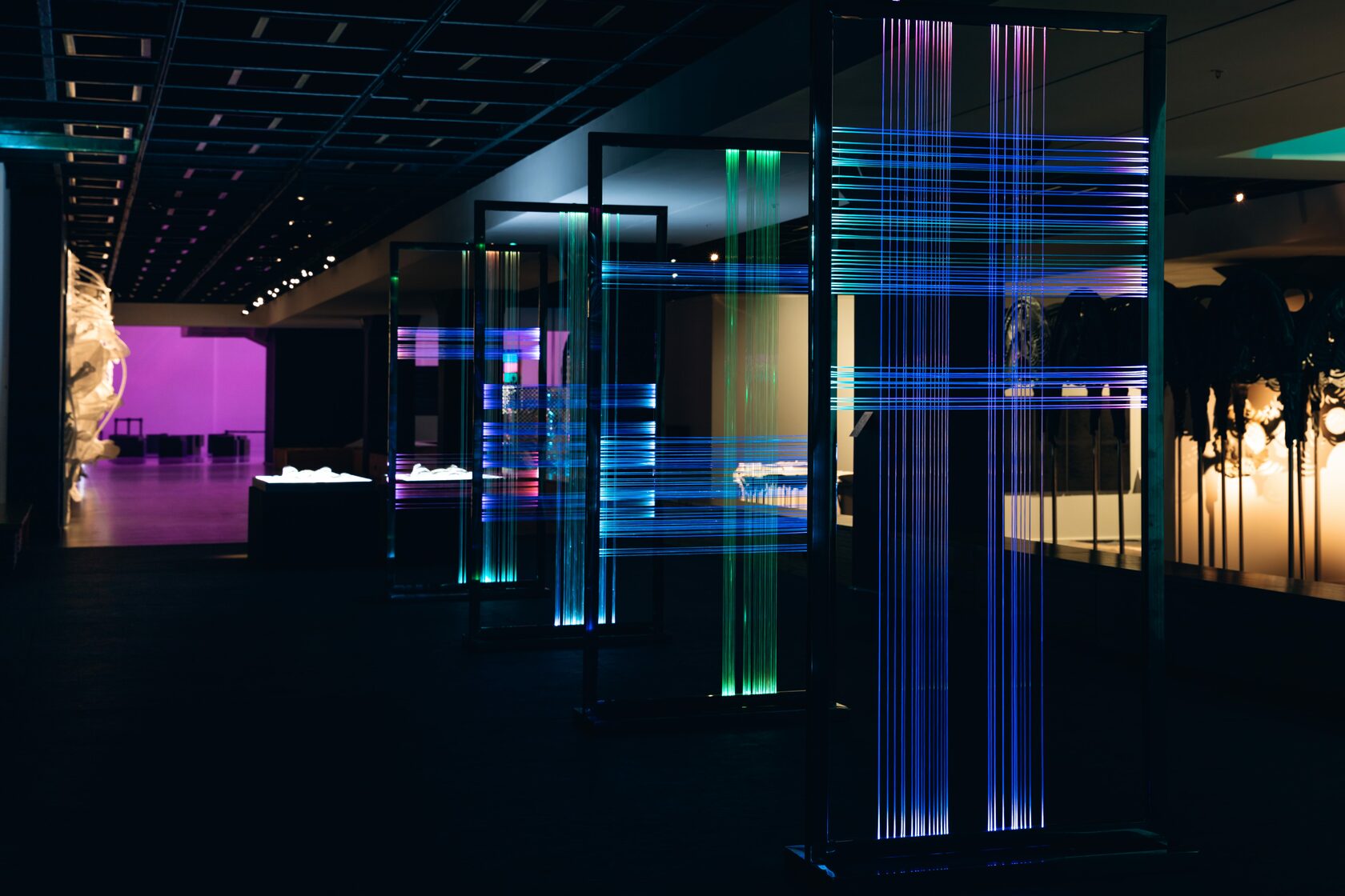 New Nature Манеж Спб Фото – Telegraph