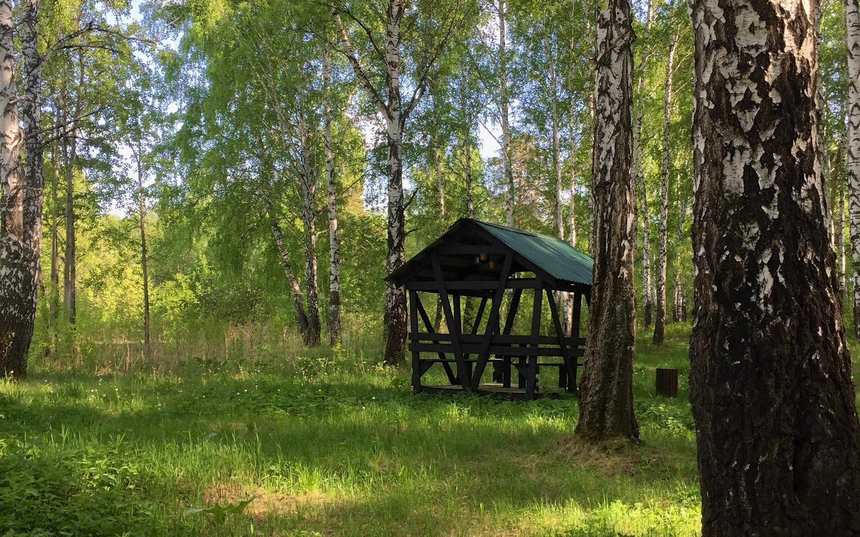 беседки в парке победы екатеринбург