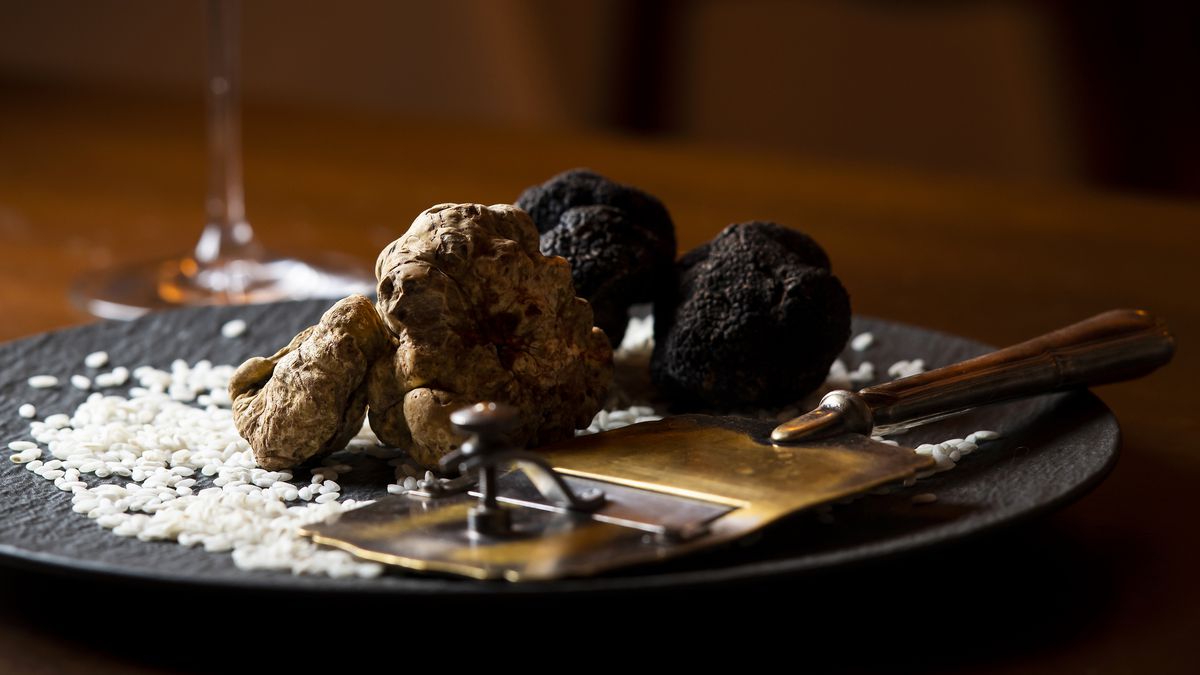 Трюфели — les truffes