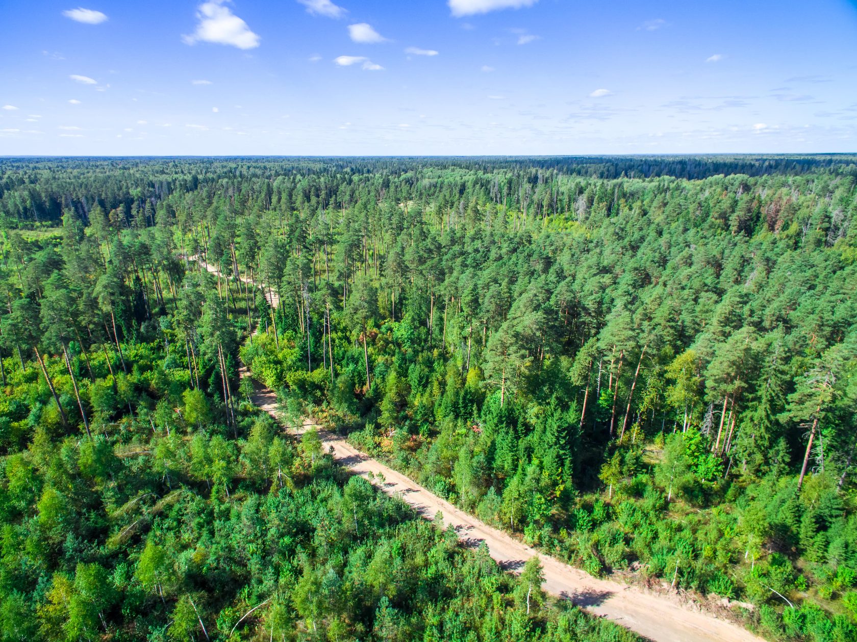 Звенигородский лес коттеджный поселок