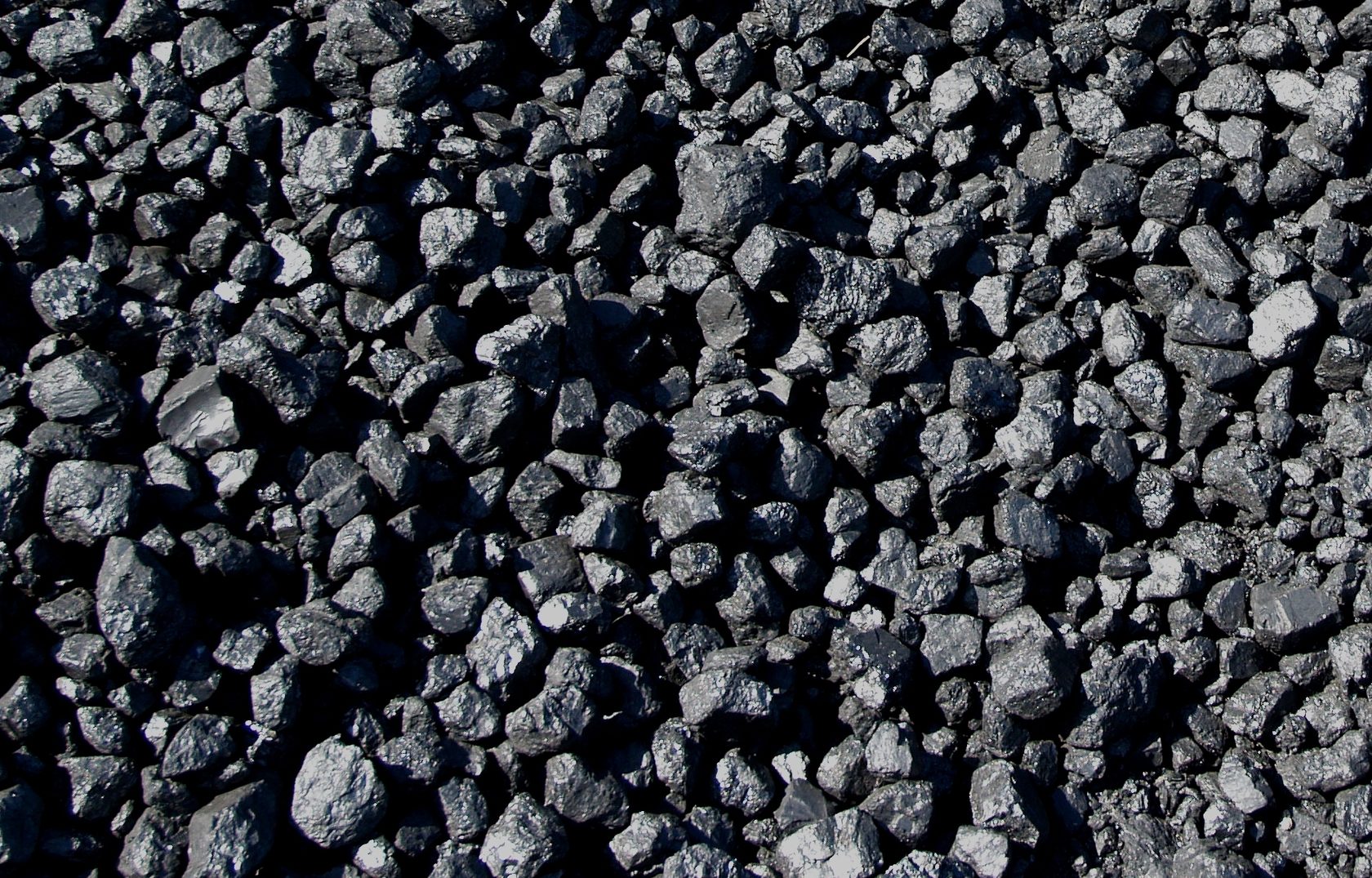 Уголь В Рубцовске Где Купить Цена