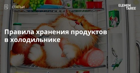 8 правил хранения продуктов в холодильнике