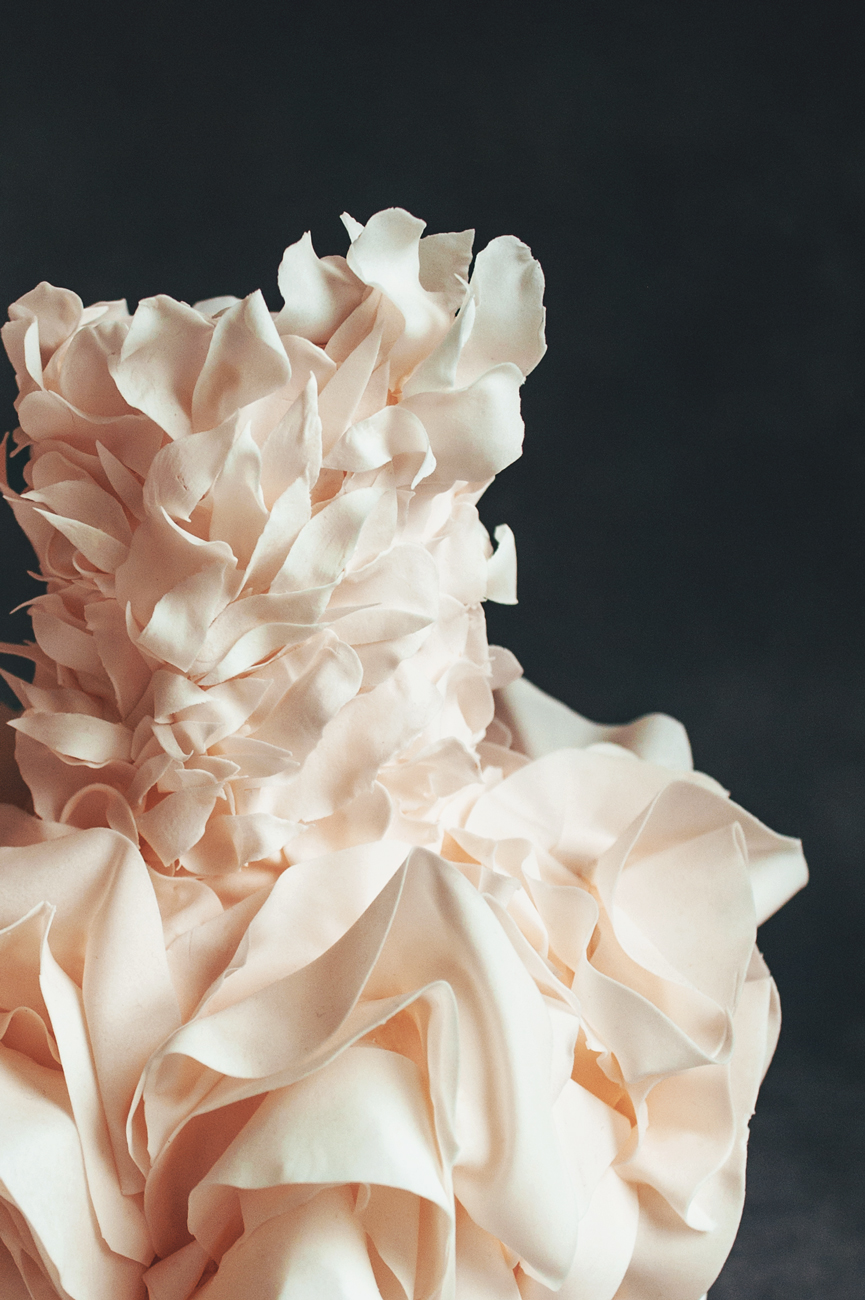 Fashion cakes. анна красовская книга fashion cakes. Fashion cakes книга. торт и высокая мода. пирожок платье торт.