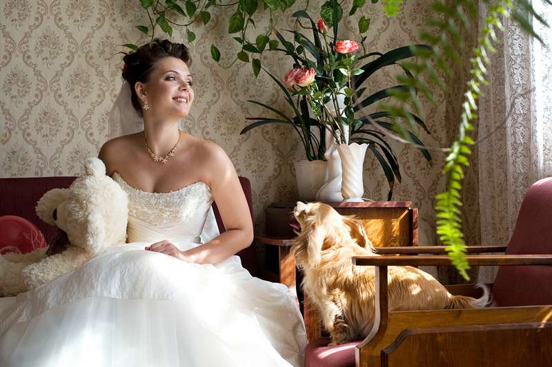 Wedd vasprudnikov21 обучение свадебной фотографии в москве