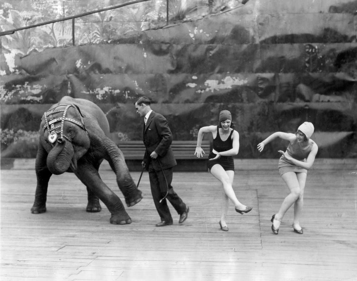Танец слоники. Редкие исторические кадры. Ретро танцы. Интересные архивные снимки. Ретро танцоры.