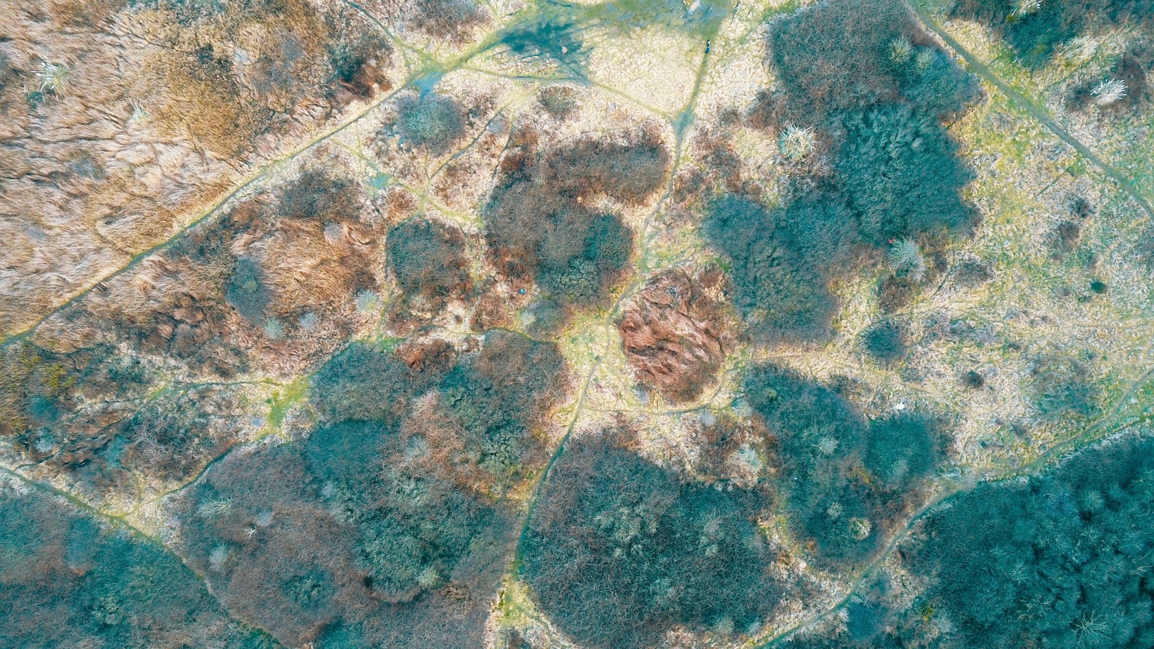 Дезинфекция помещений от плесени и грибка