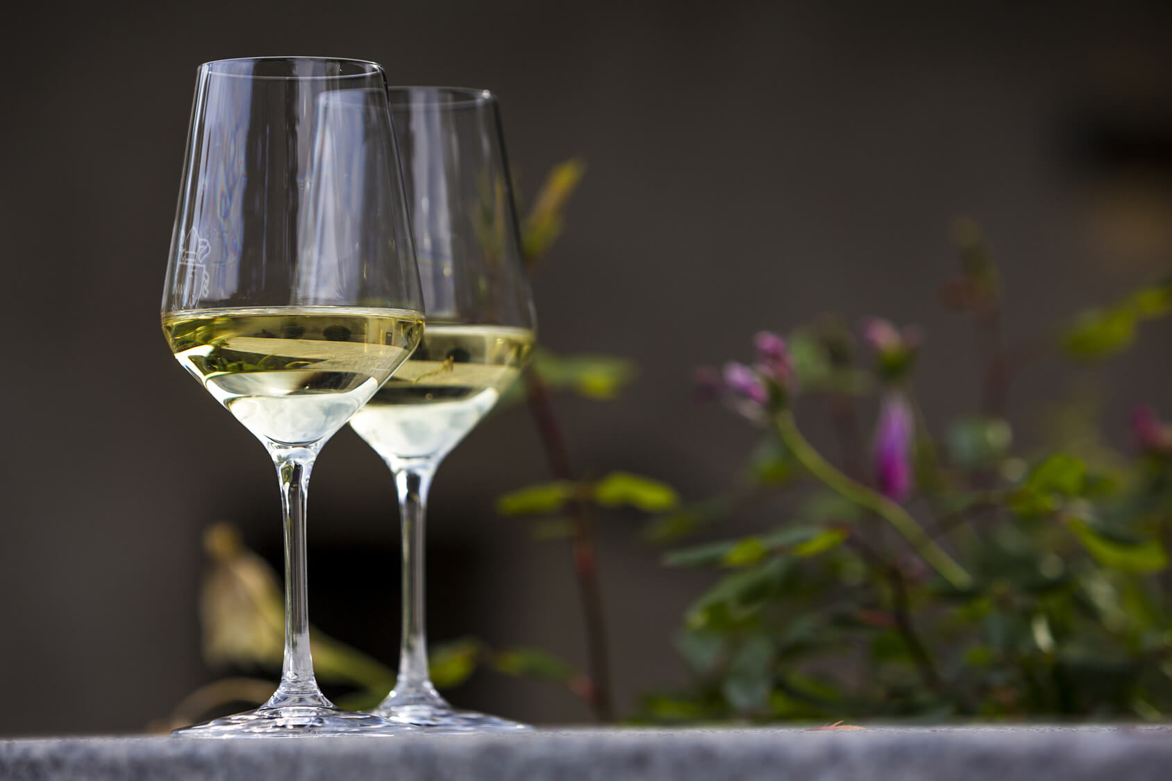 Сорт столового вина. Белое вино. Бокал Шардоне. Бокалы для белого вина. Белое вино в бокале.