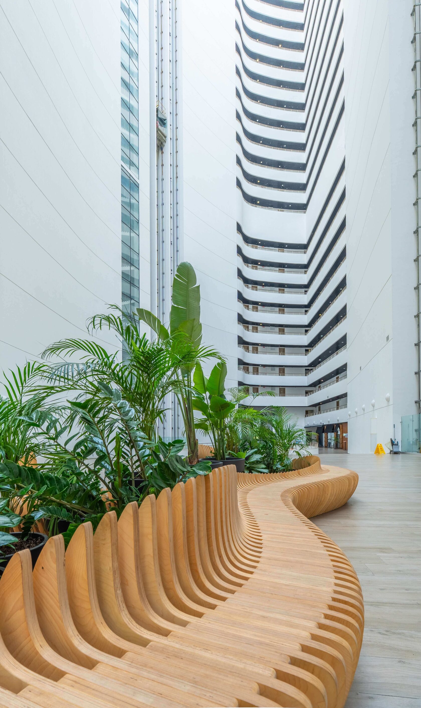 Актёр Гэлакси — вечерняя подсветка