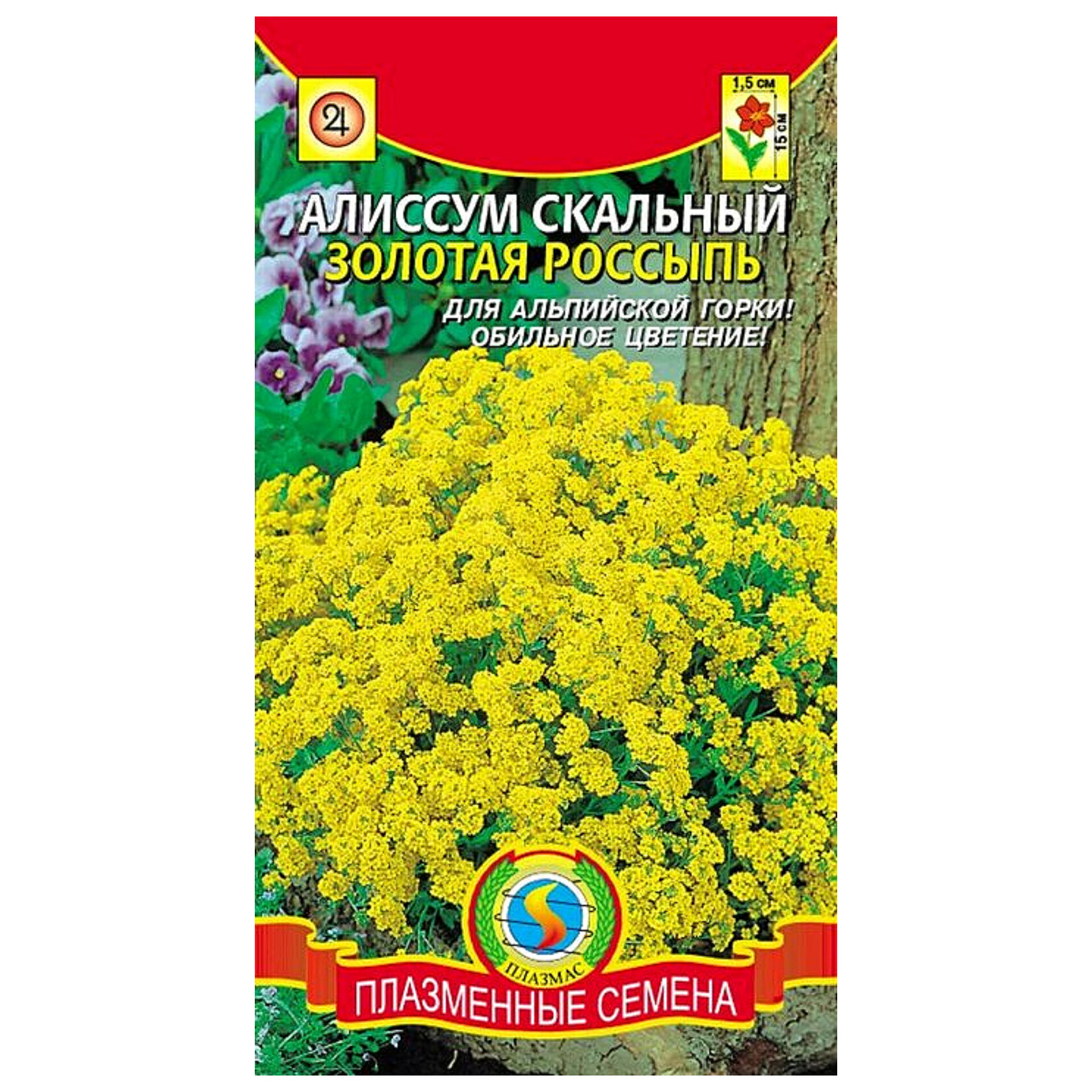 Скальный золотая россыпь. Алиссум скальный семена. Алиссум скальный Золотая. Алиссум скальный Золотая россыпь. Алиссум многолетний скальный Золотая россыпь.