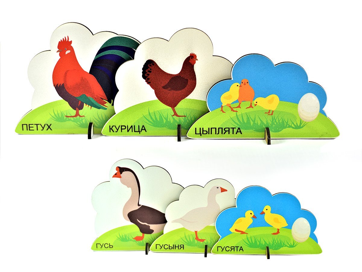 Игровой набор для мальчиков и девочек напольный ДОМАШНИЕ ПТИЦЫ 21 штука, +  мультфильм ТМ Рыжий Тим