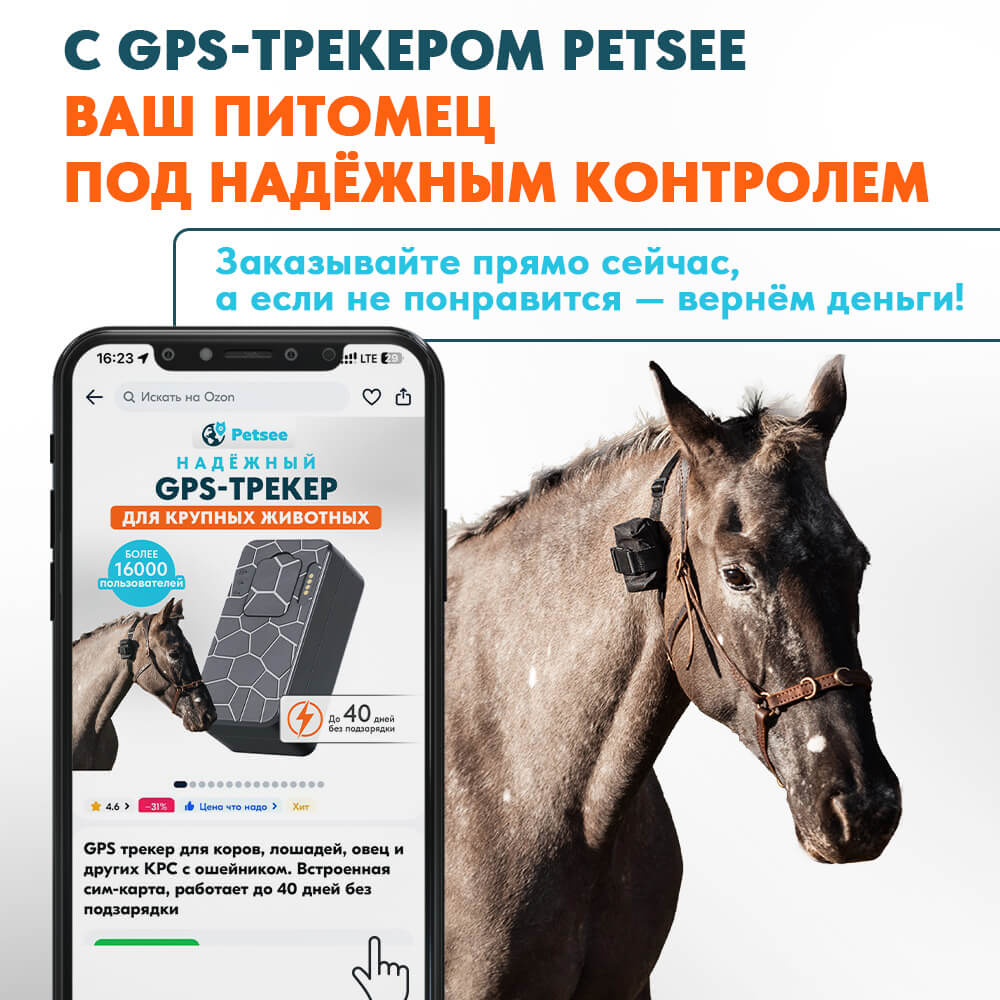 GPS-ошейник (трекер) для собак Petsee купить на официальном сайте, цена,  отзывы