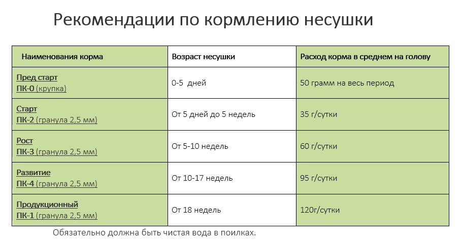 Особенности и виды комбикормов для кур