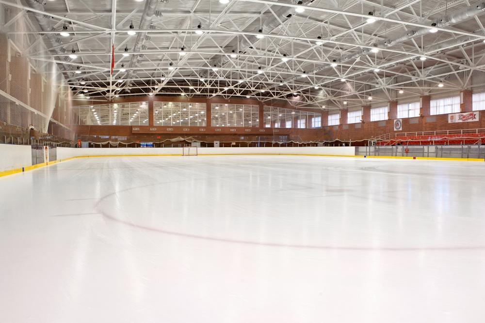 Алексин тренировочная база ока. Алексин РУТБ Ока Ледовый дворец. Стоки каток Крытый. Ок каток. Крытый каток в Корее.